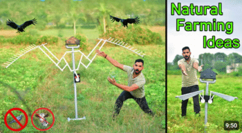 Agriculture Project For farmers/Crop safety project for animal