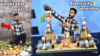 Waste Vegetable to Electricity Generator Project Making