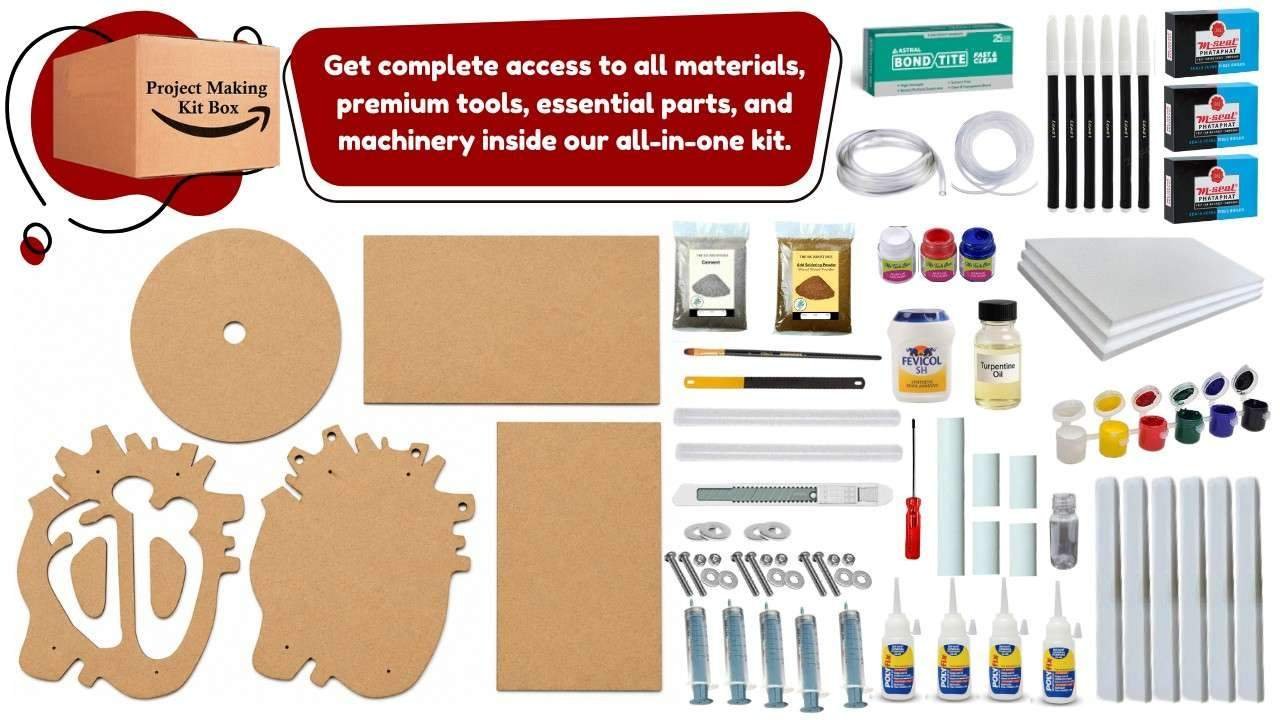 Manually DIY Human Heart Working Model Using Syringe | Biology Science Project Kit for School Exhibition