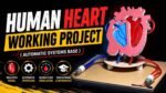 Automatically DIY Human Heart Working Model Using Pressure Pump | Biology Science Project Kit