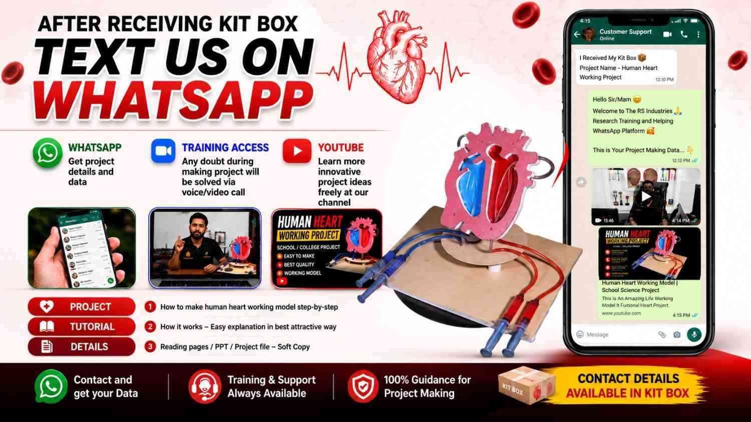 Manually DIY Human Heart Working Model Using Syringe | Biology Science Project Kit for School Exhibition