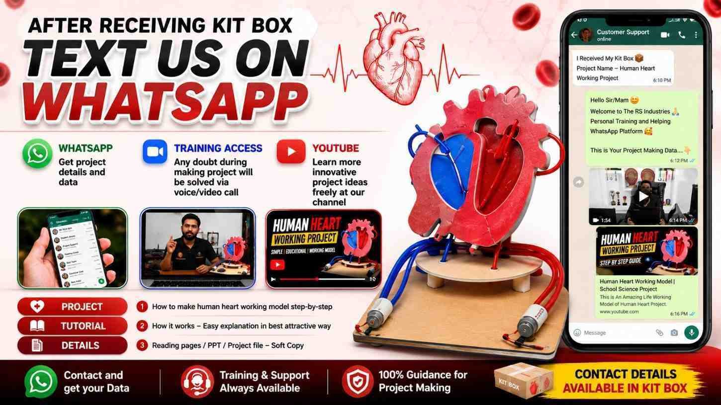 Automatically DIY Human Heart Working Model Using Pressure Pump | Biology Science Project Kit