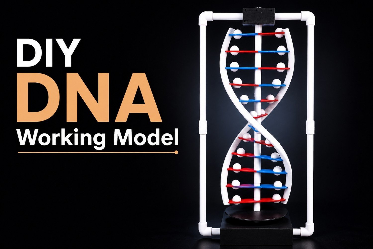 DNA Structure Model Kit for School Science Project | Biology Exhibition Project